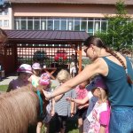 phoca_thumb_m_ponk 126 Fotogalerie